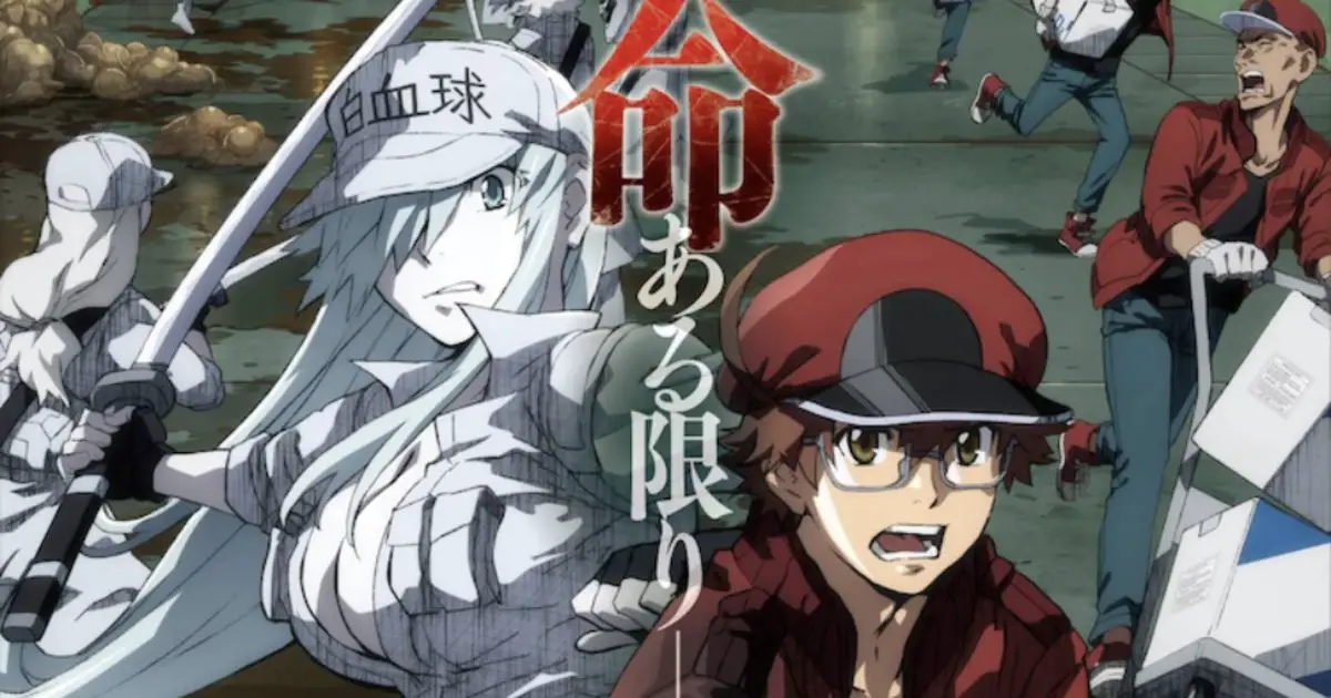 cells-at-work-code-black-announced