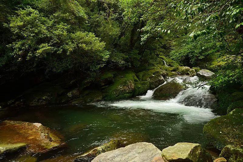 Shiratani_Unsui_Gorge,_Yakushima_Island,_Kagoshima